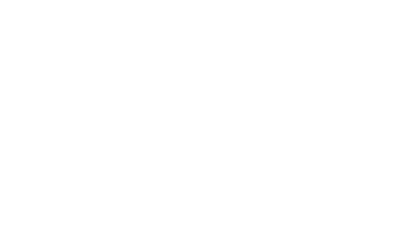 Client Logo 17