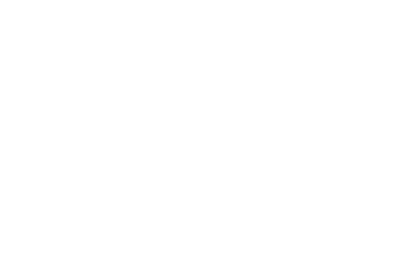 Client Logo 9